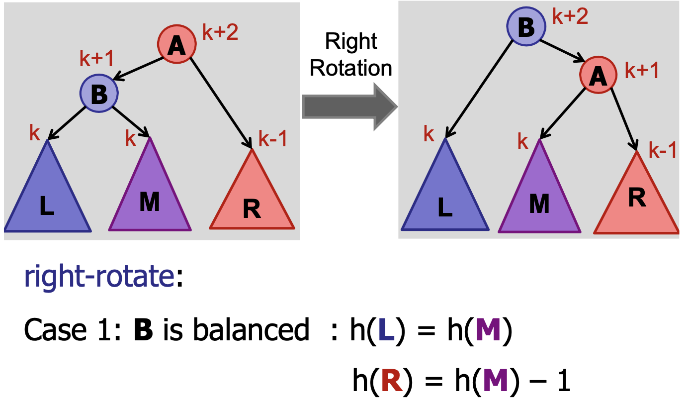 Right Rotate