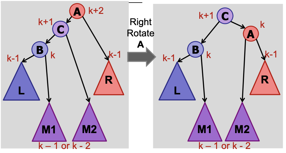 Right Rotate b